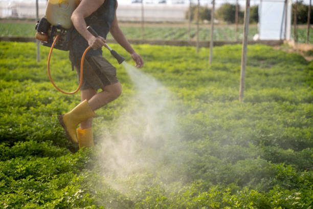 Best Affordable Pest Control Services  in Havana, IL