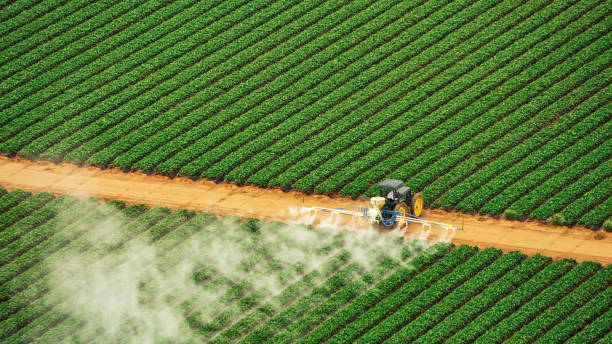 Best Pest Removal Services  in Havana, IL