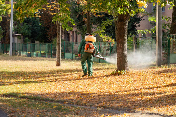 Best Wildlife Control Services  in Havana, IL