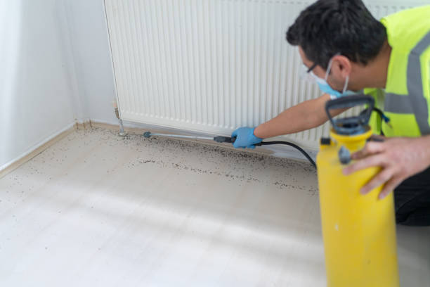 Best Residential Pest Control  in Havana, IL